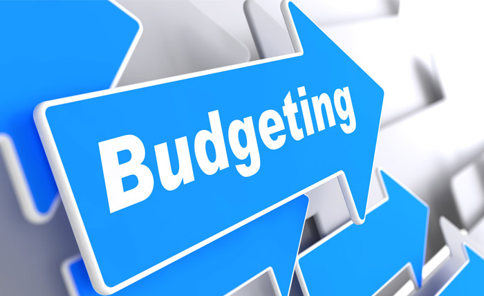 Budgeting for SAP B1